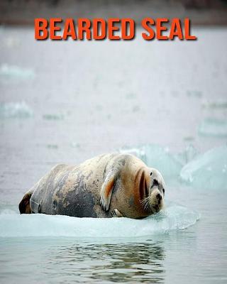 Book cover for Bearded Seal