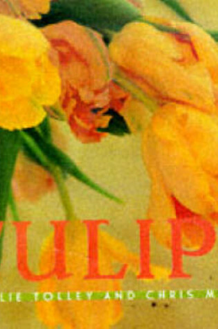 Cover of Tulips