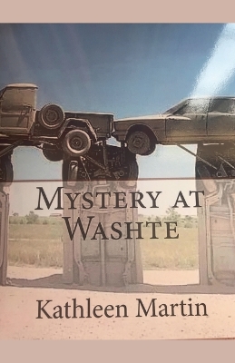 Book cover for Mystery at Washte