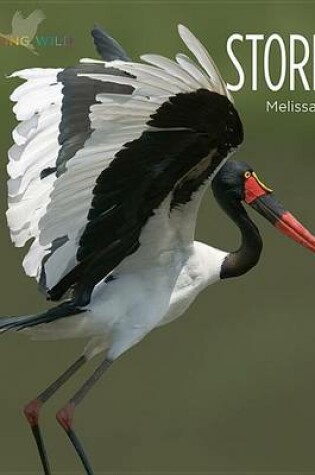 Cover of Storks
