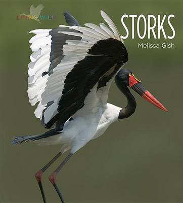 Book cover for Storks