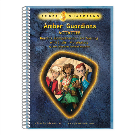 Book cover for Amber Guardians Workbook USA edition