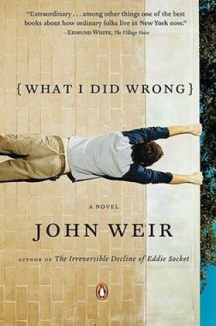 Cover of What I Did Wrong
