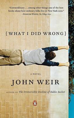 Book cover for What I Did Wrong