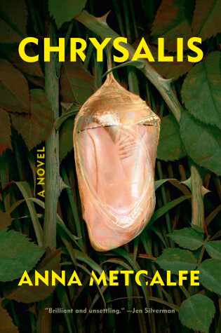 Cover of Chrysalis