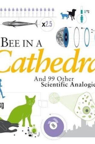 Cover of A Bee in a Cathedral