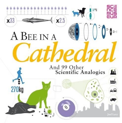 Book cover for A Bee in a Cathedral