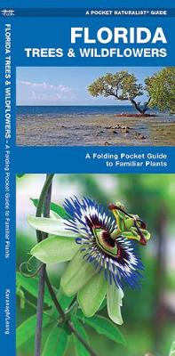 Book cover for Florida Trees & Wildflowers