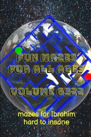 Cover of Fun Mazes for All Ages Volume 6522