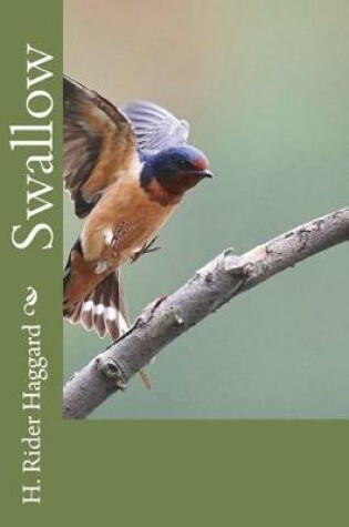 Cover of Swallow