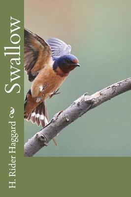 Book cover for Swallow