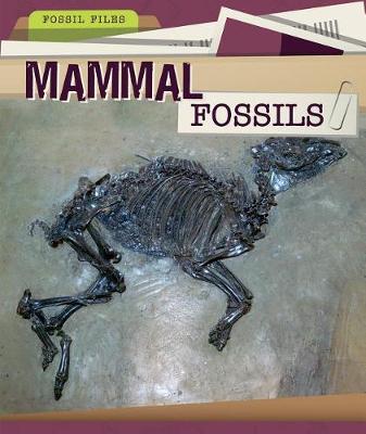 Book cover for Mammal Fossils