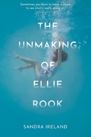Cover of The Unmaking of Ellie Rook