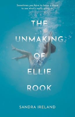 Book cover for The Unmaking of Ellie Rook