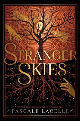 Book cover for Stranger Skies