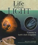 Book cover for Life Without Light