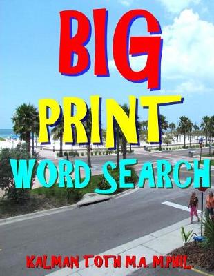 Book cover for Big Print Word Search