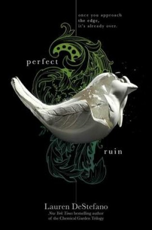 Cover of Perfect Ruin