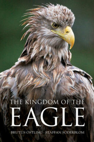 Cover of The Kingdom of the Eagle