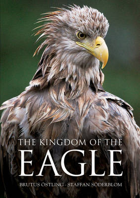 Book cover for The Kingdom of the Eagle