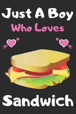 Book cover for Just a boy who loves sandwich