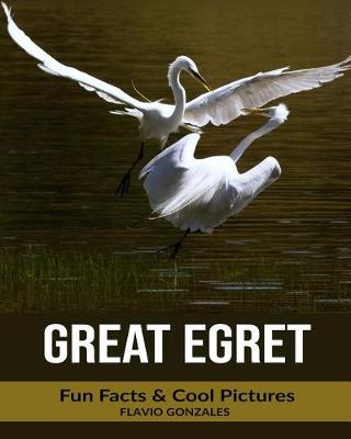 Book cover for Great Egret