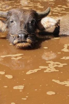 Book cover for A Water Buffalo in the Muddy Water Journal