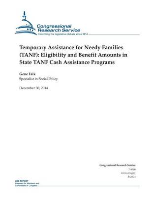 Book cover for Temporary Assistance for Needy Families (TANF)