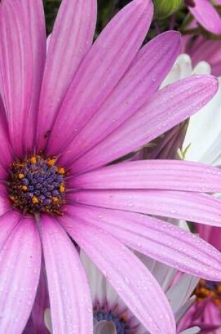 Cover of A Huge Purple African Daisy, for the Love of Flowers