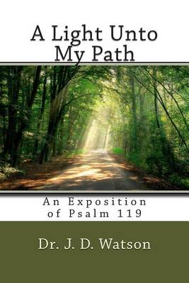 Book cover for A Light Unto My Path