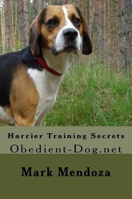 Book cover for Harrier Training Secrets