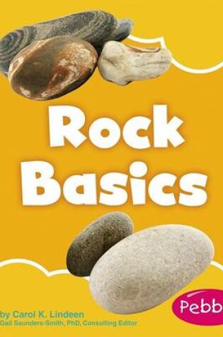 Cover of Rock Basics