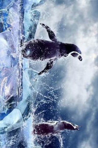 Cover of Penguins Splashing in the Ice Cold Water