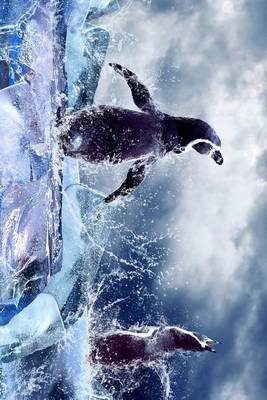 Book cover for Penguins Splashing in the Ice Cold Water