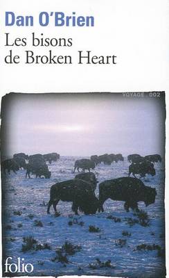 Book cover for Les Bisons De Broken Heart