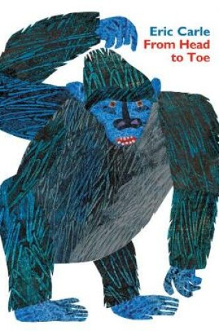 Cover of From Head to Toe Padded Board Book