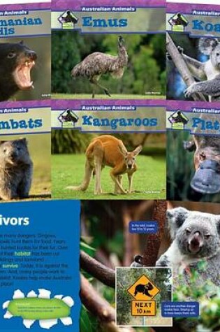 Cover of Australian Animals