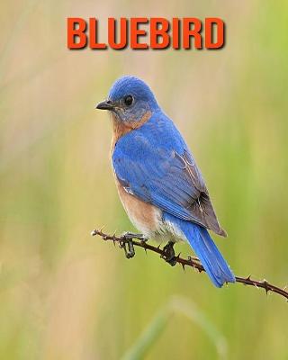 Book cover for Bluebird