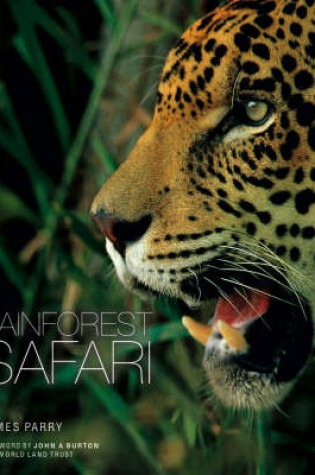 Cover of Rainforest Safari