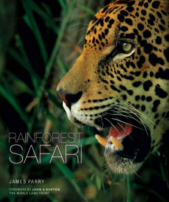 Book cover for Rainforest Safari