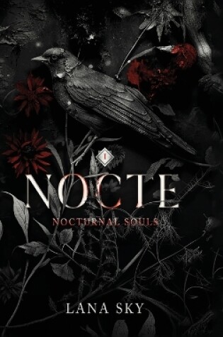 Cover of Nocte