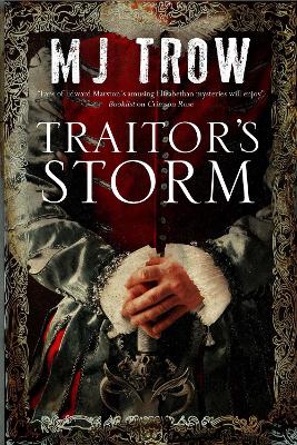 Book cover for Traitor's Storm