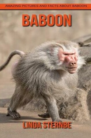 Cover of Baboon