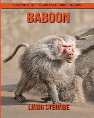 Book cover for Baboon