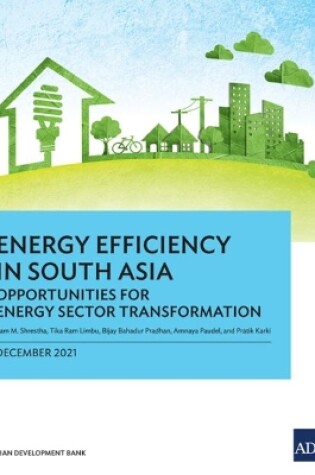 Cover of Energy Efficiency in South Asia