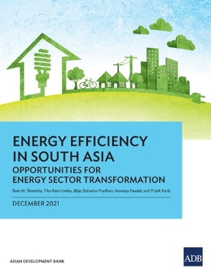 Book cover for Energy Efficiency in South Asia