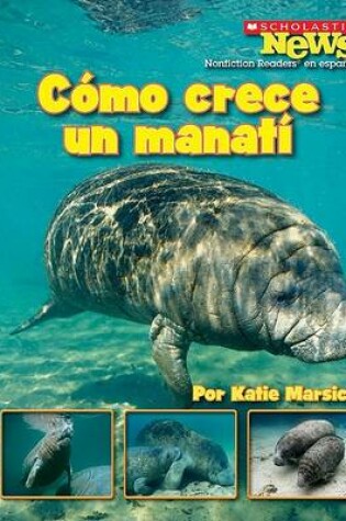 Cover of Como Crece Un Manati