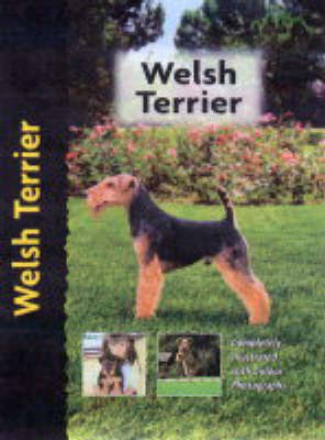 Book cover for Welsh Terrier