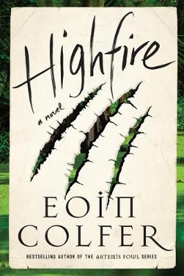 Book cover for Highfire