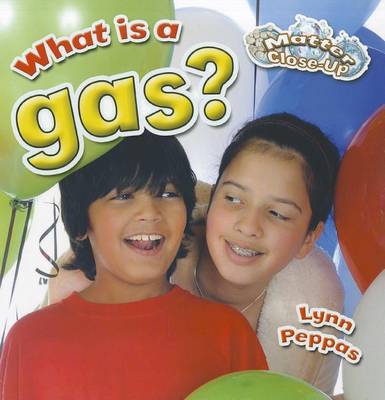 Book cover for What is a gas?
